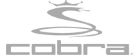Cobra Logo in Grau