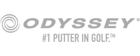 Odyssey Logo in Grau