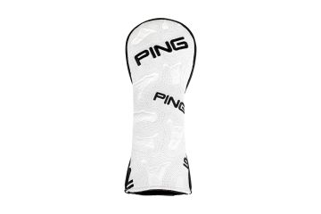 Ping Icon Holz Haube