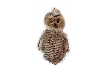 Daphne Headcover Hybrid Eule