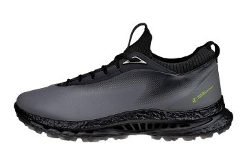 Ecco Hr Golfschuhe Biom C5 GTX Grau/Schwarz 39