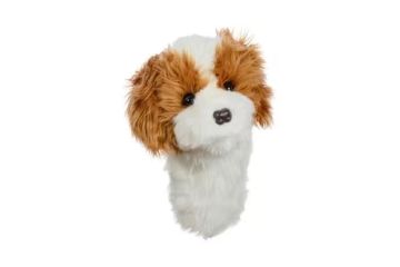 Daphne Headcover Cavapoo