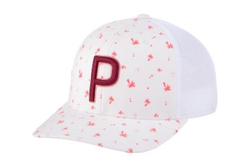 Puma 110 Palms Cap