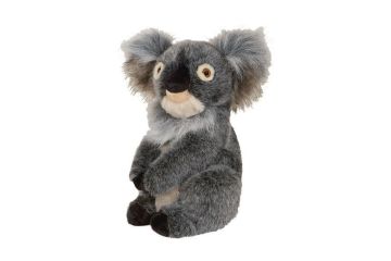 Daphne Headcover Koala